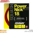 ASHAWAY AVEFC p[jbN18 Power Nick 18 AC-108A XJbV XgO Kbg Q[W1.15mm 9m