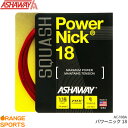 【30日は店内全品P2倍!】ASHAWAY アシャウェイ パワーニック18 Power Nick 18 AC-108A スカッシュ ストリング ガット ゲージ1.15mm 長さ9m