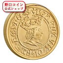 即納 2022 1オンス イギリス イギリスの君主たち:ヘンリー7世 金貨 プルーフ 箱とクリアケース付き 【PR】 100ポンド【特選】