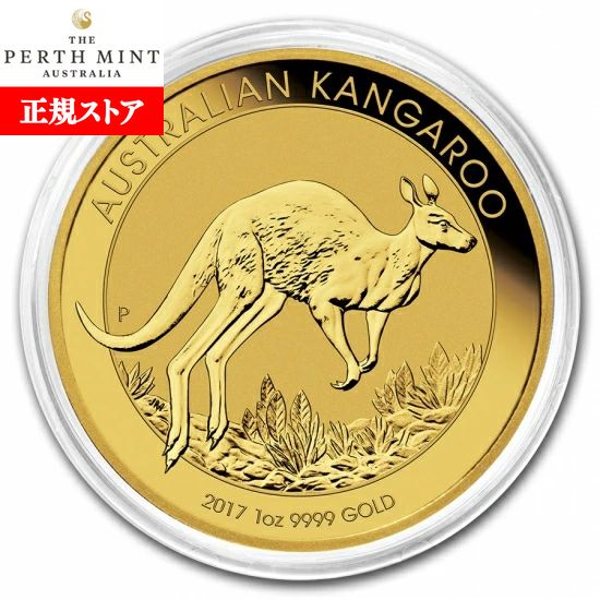 ¨Ǽ  ̤ 2017ȥꥢ󥬥롼 1 33mmꥢդ