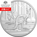 即納 2024 1オンス オーストラリア RAM製カンガルー銀貨 【BU】 1ドル (40mmクリアケース付き) 新品未使用