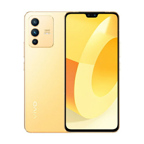 Vivo S12【Dimensity 1100採用のコスパ優れる1億画素カメラ搭載の海外5Gスマホ】