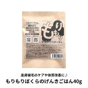 【PURSUIT OF LOVE (パシュートオブラブ)】もりもり ぼくらのげんきごはん 食べきりサイズ 40g 【ドッグフード】 免疫力アップ 皮膚被毛ケア 全犬種 全年齢対応 国産 無添加 健康維持 馬肉 免疫力