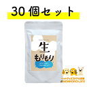  生もりもり 100g×30個 全犬種 全年齢対応 国産 健康維持 無添加 ウェットフード 免疫力 もりもり シリーズ 犬 フード レトルト ドッグフード