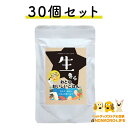 生きら おとなおいしいごはん 100g×30個 鶏肉 ささみ グレインフリー グルテンフリー 無添加  送料無料 犬 フード