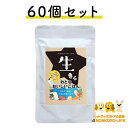  生きら おとなおいしいごはん 100g×60個 鶏肉 ささみ グレインフリー グルテンフリー 無添加  送料無料 犬 フード