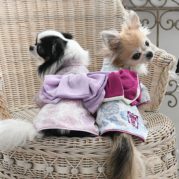 ANNA SUI（アナ スイ） バラプリント浴衣 夏 アナスイ ANNASUI 浴衣 女の子 和服 かわいい おしゃれ 犬 服 お出かけ イベント お揃い ダックス PAS1062 TWのサムネイル