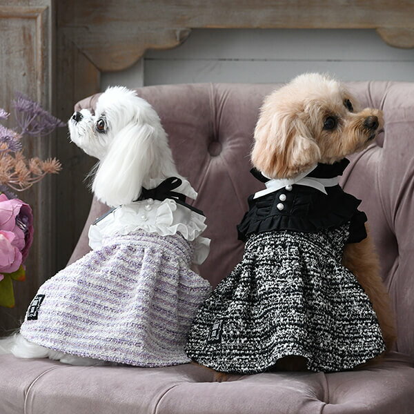 ANNA SUI リボンタイツイードワンピース 秋 冬 ワンピ リボン アナスイ かわいい おしゃれ 犬 服 お揃い ダックス PAS1067 TW 【アナ スイ】 ※お取り寄せ商品※