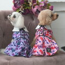ANNA SUI リボンタイチェリー総柄ワンピ 春 夏 ワンピース アナスイ かわいい おしゃれ 女の子 犬 服 お出かけ お揃い ダックス PAS1072 T...