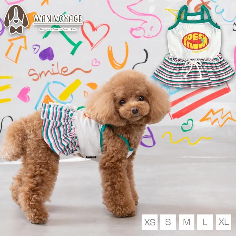 D's Chat リブスカートキャミワンピ 袖なし 全5サイズ お揃い 小型犬 ワンピース ds241217 犬服 犬 服 ディーズチャット ※お取り寄せ商品※