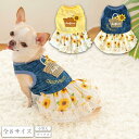 クレイジーブー ひまわりシフォンワンピ 全8サイズ ワンピース ひまわり 袖なし メッシュ 女の子 お揃い 小型犬 cb251109 犬服 犬 服 Crazy Boo ※一部サイズお取り寄せ※