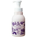 フェニックス ARA アラ! ハンドフォーム 500mL×15本入【取り寄せ商品・即納不可・代引き不可・返品不可】(4)