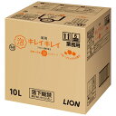 【期間限定P5倍】 ライオン キレイキレイ薬用泡ハンドソープ フルーツミックスの香り 10L【取り寄せ商品・即納不可】