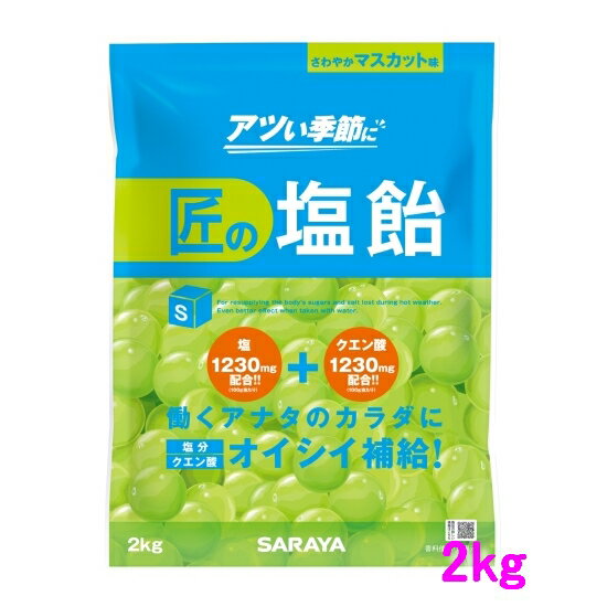 【数量限定】サラヤ　匠の塩飴　マスカット味　2kg×4袋入●ケース販売お徳用【取り寄せ商品・即納不可】