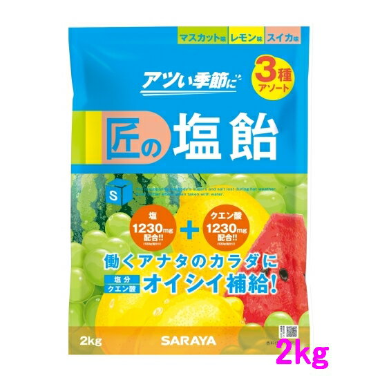 【数量限定】サラヤ　匠の塩飴　3種アソート(マスカット味・レモン味・スイカ味)　2kg×4袋入●ケース販売お徳用【取り寄せ商品・即納不可】