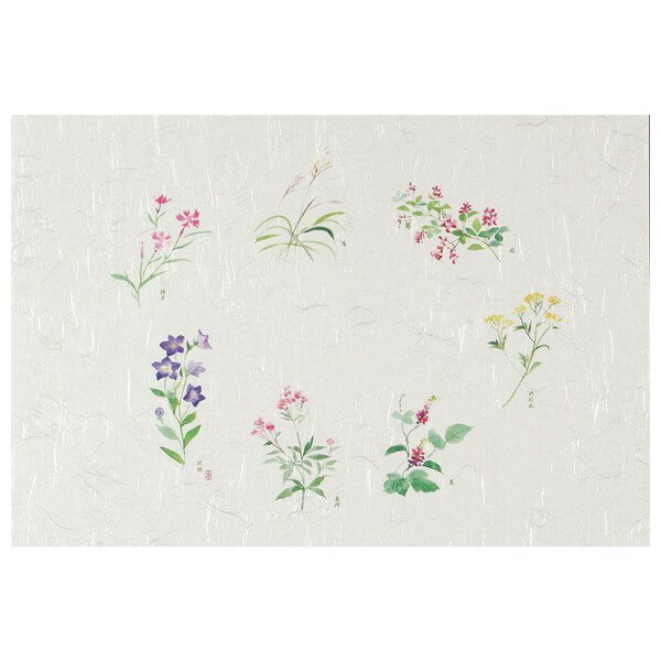 テーブルマット T-121 秋の七草(9月) 100枚【取り寄せ商品・即納不可】