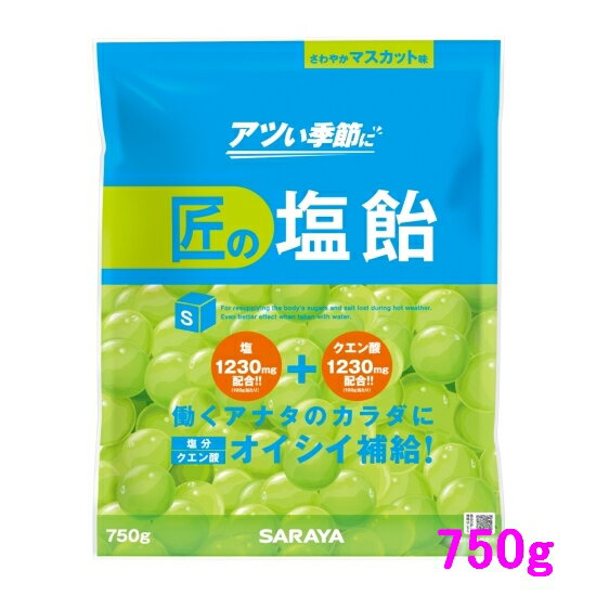 【数量限定】サラヤ　匠の塩飴　マスカット味　750g