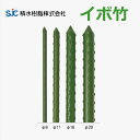 【個人宅配達OK】農業用支柱 イボ竹 8mm/11mm/13.7mm/16mm/20mm