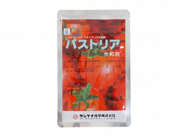 ѥȥꥢº 100g