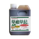 ■お取り寄せ目安 通常ご注文後、3〜5営業日にて発送となります。 ■保証成分 窒素全量 3.0% りん酸全量 3.0%（内水溶性りん酸　2.7%） 加里全量 2.0%（内水溶性加里　1.4%） ■特徴 （1）根に効く核酸入り 核酸は発根と根の伸長を特異的に促進することが、学会や論文で報告されています。 （2）鉄配合 光合成に必須の鉄を作物が吸収しやすい形態で配合しています。 （3）基本の養分、窒素、りん酸、カリウム入り 苗が徒長しにくいよう三要素のバランスを考慮して配合しています。 早根早起は、核酸とキレート鉄により植物の基礎となる丈夫な地下部を形成する一方、窒素に対してりん酸やカリウムのバランスを適正化し、光合成や代謝に必須な鉄の効果とあわせて、体内のC/N比を改善します。その結果、徒長を抑えつつ葉色がよく、葉肉の厚い丈夫な苗を育成します。また、生育も早くなります。