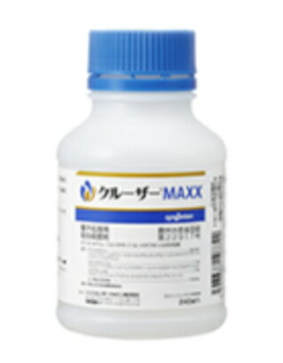 クルーザーMAXX 240ml