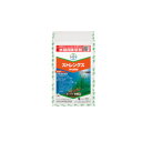 ストレングス1キロ粒剤 1kg×12袋セット