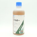 ブラボー 500ml×20本セット