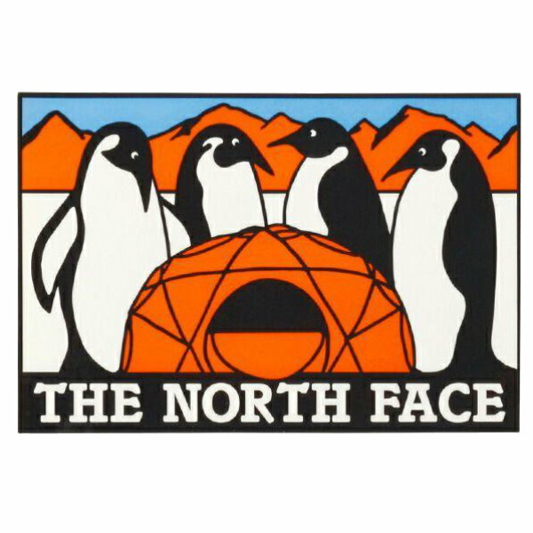 THE NORTH FACE(ザ・ノースフェイス) TNF PRINT STICKER/AT NN31710 ステッカー スキー スノボ　ステッカー