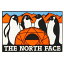 THE NORTH FACE(Ρե) TNF PRINT STICKER/AT NN31710 ƥå  Υܡƥå