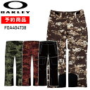 y\񏤕iz OAKLEY DIVISIONAL CARGO SHELL PANT FOA404738 I[N[ I[N[ Xm{EFA J[Spc PNT 24-25 {Ki