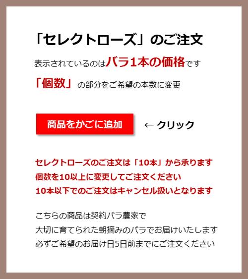 「本数指定で贈るピンクローズの花束」ピンク バラ 本数指定 生花 誕生日 記念日 ホワイトデー 母の日 父の日 敬老の日 クリスマス