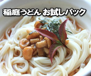 送料無料！　松武屋　稲庭うどん上麺（200g×2）お試し1100円パック