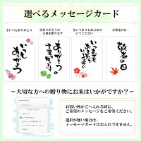 お米10kg無洗米岐阜県産送料無料ハツシモ(はつしも)2年産玄米分づき精米白米お米職人が厳選