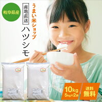 お米10kg無洗米新米3年産岐阜県産送料無料ハツシモはつしも玄米分づき精米白米お米職人が厳選