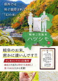 岐阜県産ハツシモお米10kg