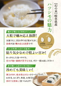 岐阜県産ハツシモお米10キロ