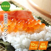 岐阜県産ハツシモお米10kg