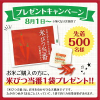 \プレゼント付/お米10kg無洗米新米3年産岐阜県産送料無料ハツシモはつしも玄米分づき精米白米お米職人が厳選