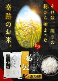 龍の瞳2kgお米白米令和3年産送料無料内祝いお中元お歳暮ギフト竜の瞳米金賞受賞【認定特約店】バレンタインチョコ以外