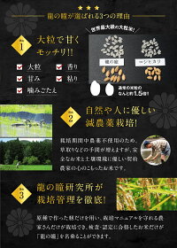 岐阜県産龍の瞳白米6kg