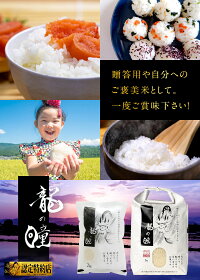岐阜県産龍の瞳白米6kg
