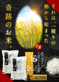 龍の瞳(いのちの壱)4kgお米令和3年産白米送料無料内祝いお中元お歳暮ギフト竜の瞳米金賞受賞【認定特約店】バレンタインチョコ以外
