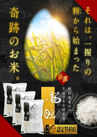 龍の瞳(いのちの壱)6kgお米令和3年産白米送料無料岐阜県産長野県産内祝いお中元お歳暮ギフト竜の瞳金賞受賞【認定特約店】