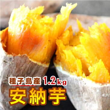 ※当店1番人気!! 訳あり 送料無料 安納芋 冷凍焼き芋 【種子島安納芋 小粒〜中粒 1.2kg】焼き芋 電子レンジ 安納蜜芋 焼き芋 冷凍 安納 簡単 おいもや やきいも【鹿児島 焼き芋専門ショップおいもや】