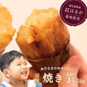 国産冷凍焼き芋 【 1.5kg 】 送料無料 国産 まとめ買い 業務用 紅はるかの焼きいも 訳あり焼きいも 無添加焼き芋 オーガニック ねっとり 鹿児島産べには...