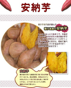 ※送料無料 食べ比べ 冷凍焼き芋【紅はるか　安納芋】安納 焼き芋 電子レンジ 蜜芋 冷凍 簡単 おいもや べにはるか あんのういも やきいも【鹿児島 焼き芋専門ショップおいもや】