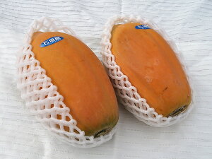 完熟フルーツパパイヤ詰め合わせ　約2kg(2〜5個)沖縄・石垣島から直送