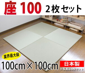 オリジナル置き畳/ユニット畳　座100　2枚セット　天然い草100％琉球畳風へりなし畳