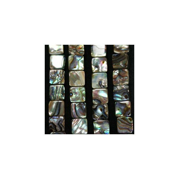 シェル　アバロニ貝　8mm　スクエア　10個　新入荷　アクセサリーパーツ　手芸品　天然物
