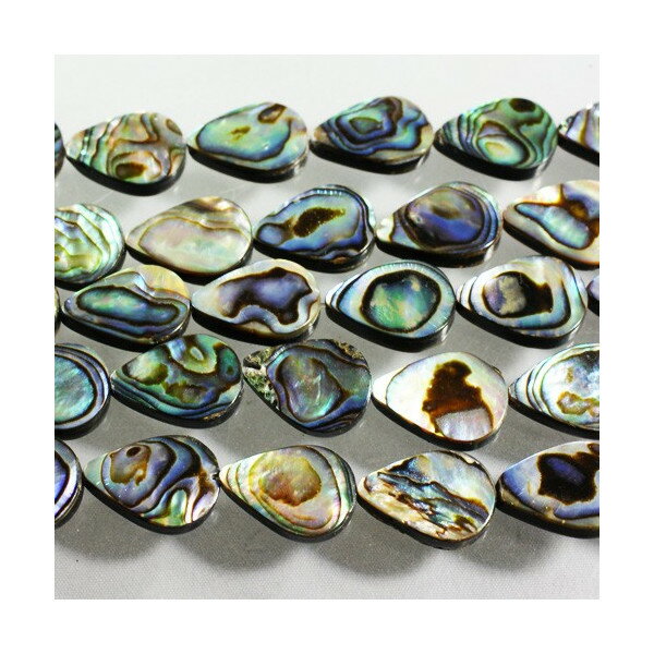 シェルパーツ　アバロニ貝　雫　10x14mm　8個入　アクセサリーパーツ　手芸用品　天然物　手作りネックレス　ピアス　イヤリング
